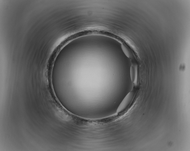 X0000097831022200803141140