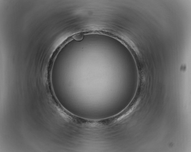 X0000097831023200803141140