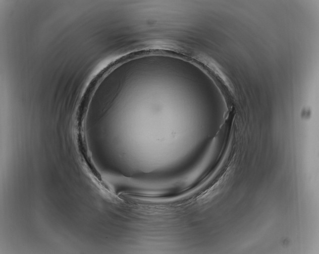 X0000097831024200803141140