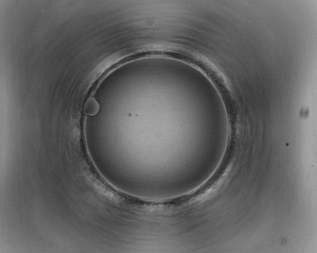 X0000097831025200803141140