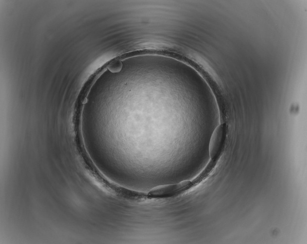 X0000097831026200803141140