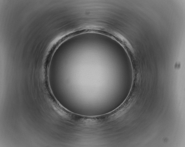 X0000097831027200803141140