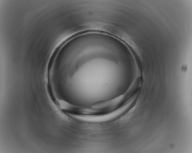X0000097831028200803141140