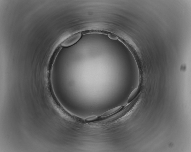 X0000097831029200803141140