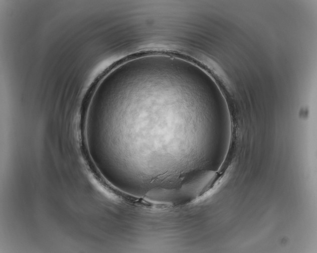 X0000097831030200803141140