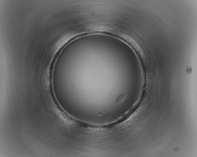 X0000097831031200803141140