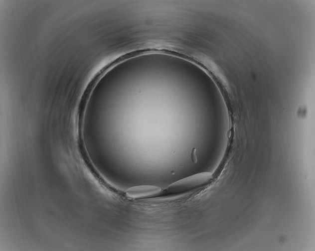 X0000097831032200803141140