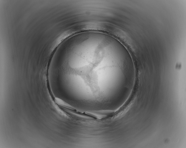 X0000097831033200803141140