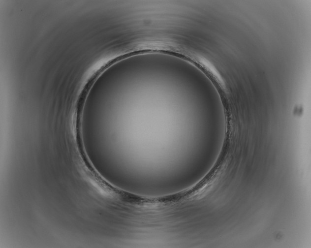 X0000097831035200803141140