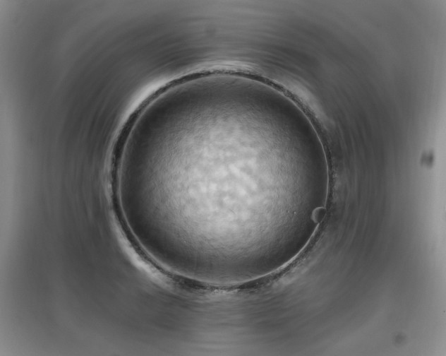 X0000097831038200803141140