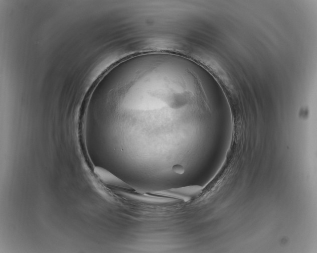 X0000097831039200803141140