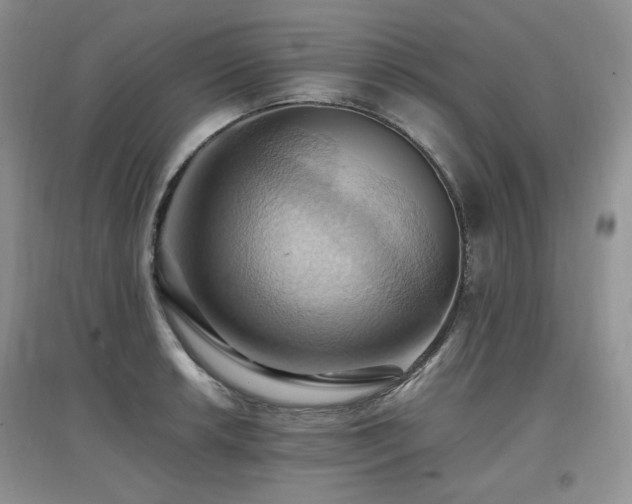 X0000097831042200803141141