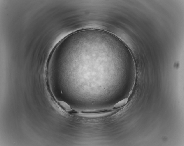 X0000097831044200803141141