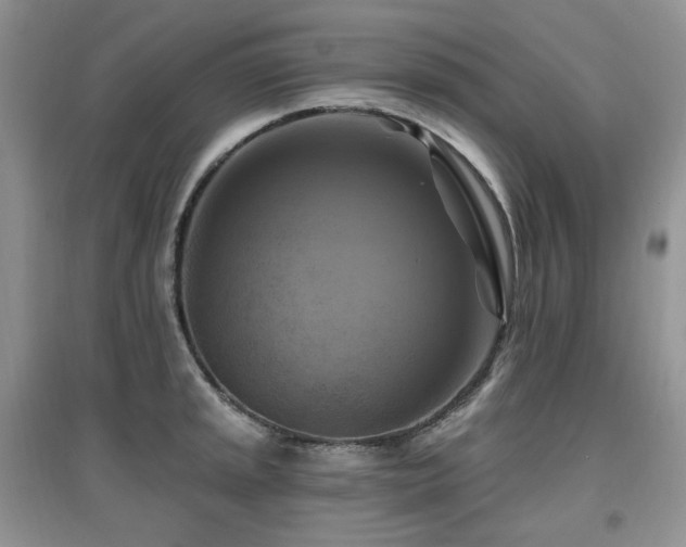 X0000097831045200803141141