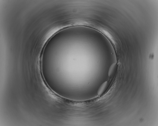 X0000097831047200803141141