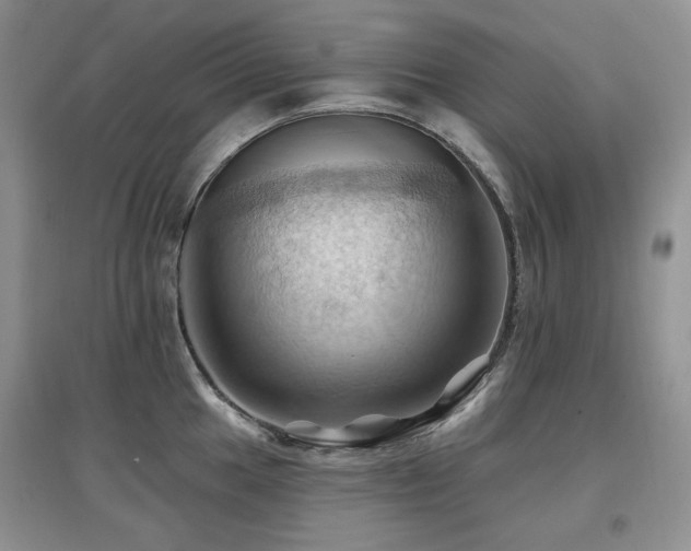 X0000097831049200803141141