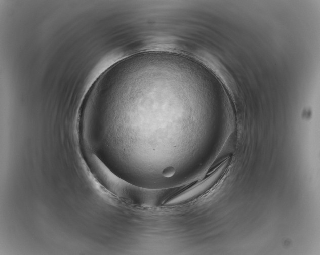 X0000097831050200803141141