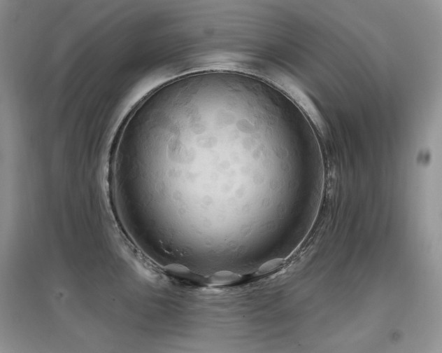 X0000097831051200803141141