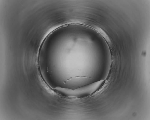 X0000097831052200803141141