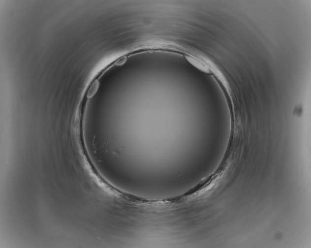 X0000097831053200803141141