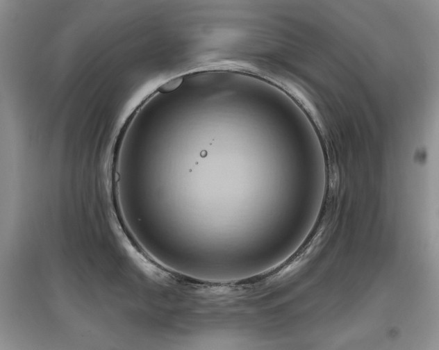 X0000097831054200803141141