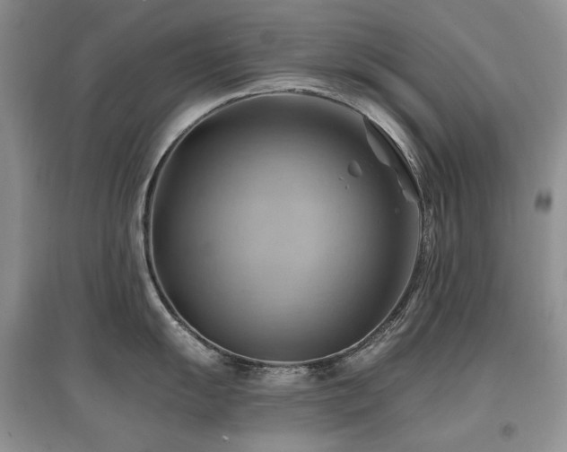 X0000097831055200803141141