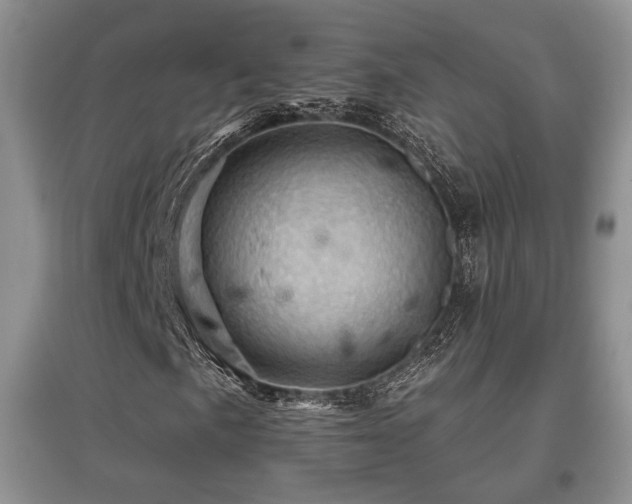 X0000097831057200803141140