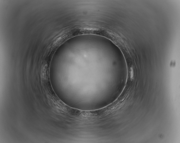 X0000097831059200803141140
