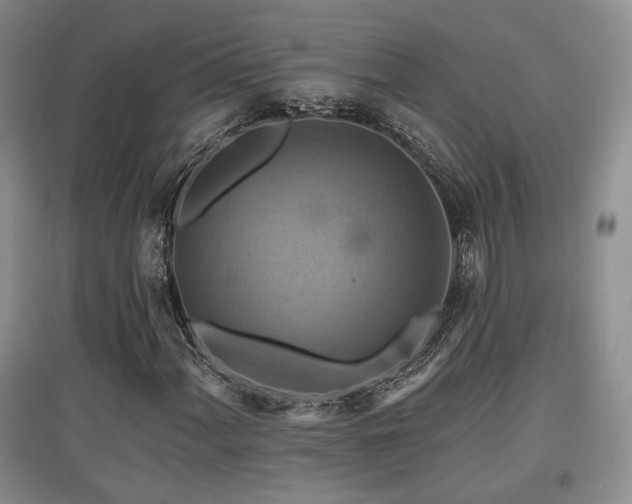 X0000097831060200803141140