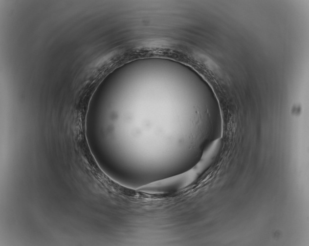 X0000097831062200803141140