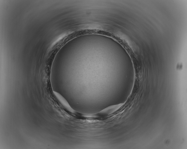 X0000097831064200803141140