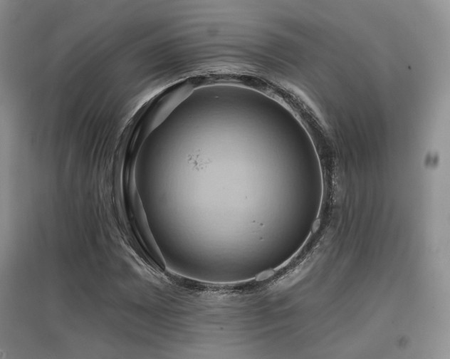 X0000097831065200803141140