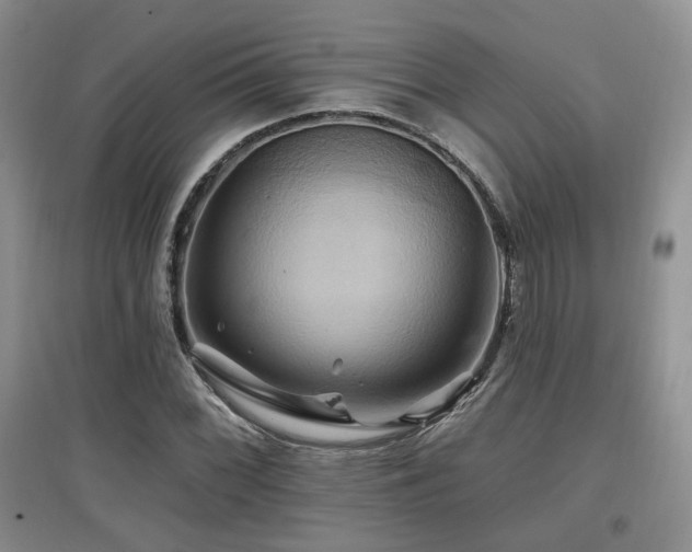 X0000097831068200803141140