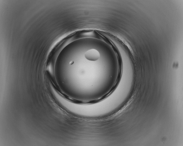 X0000097831069200803141140