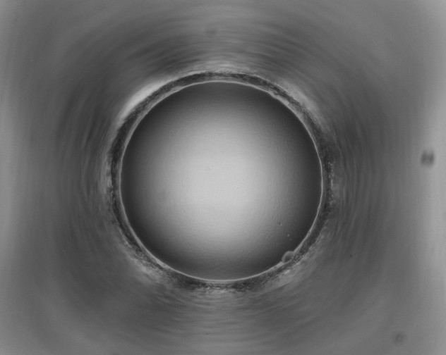 X0000097831070200803141140