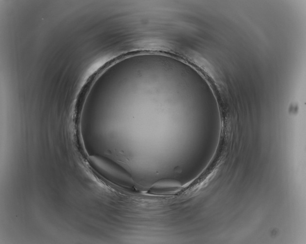 X0000097831071200803141140