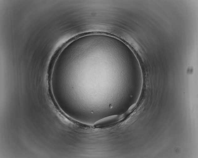 X0000097831072200803141140