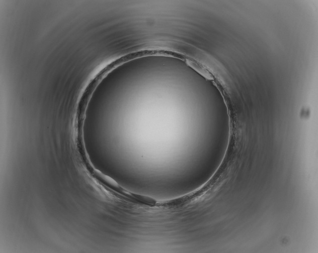 X0000097831076200803141140