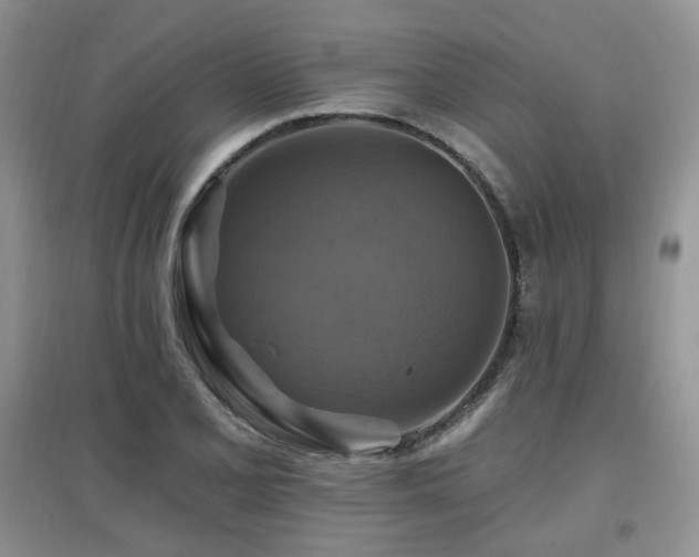 X0000097831077200803141140