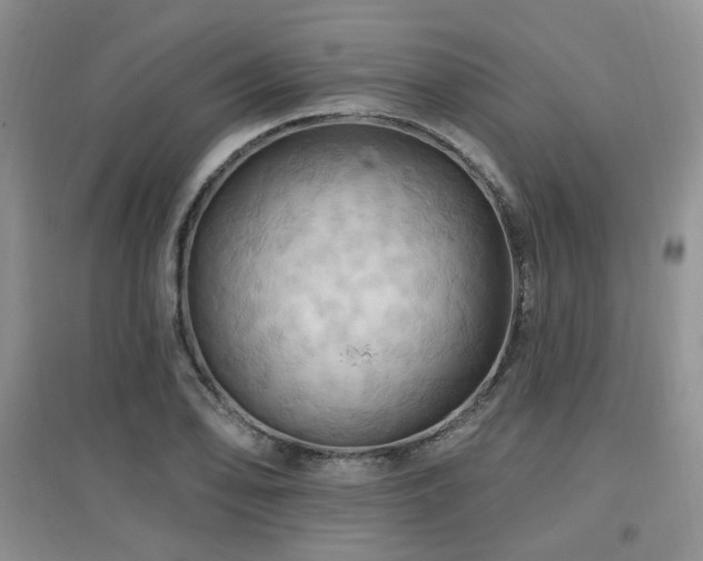 X0000097831078200803141140