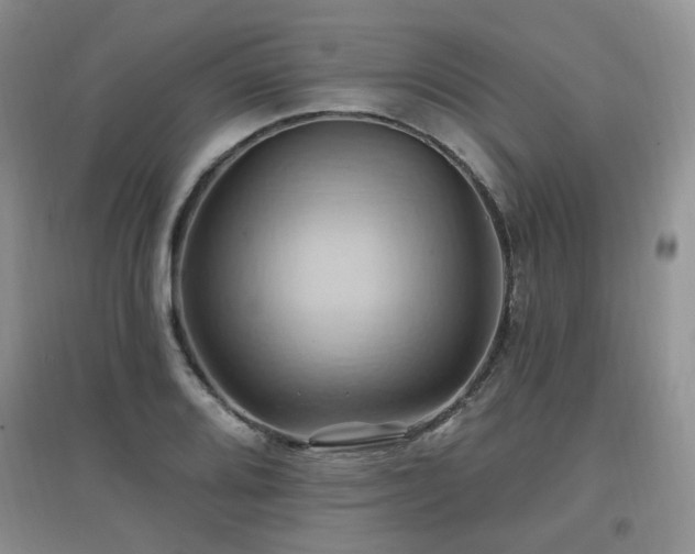 X0000097831080200803141140