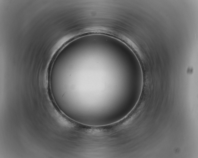 X0000097831082200803141140