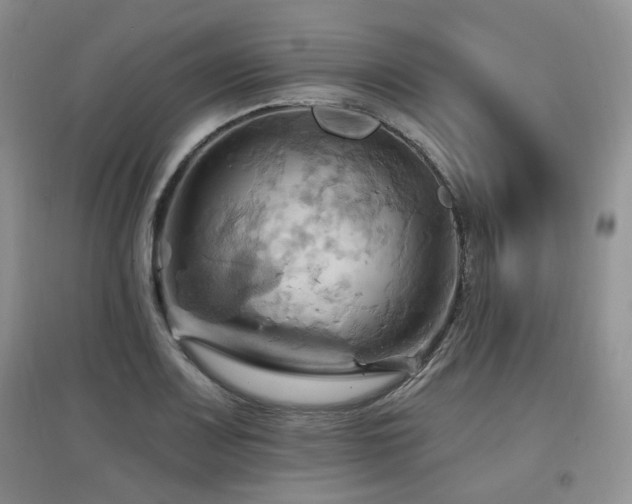X0000097831083200803141140