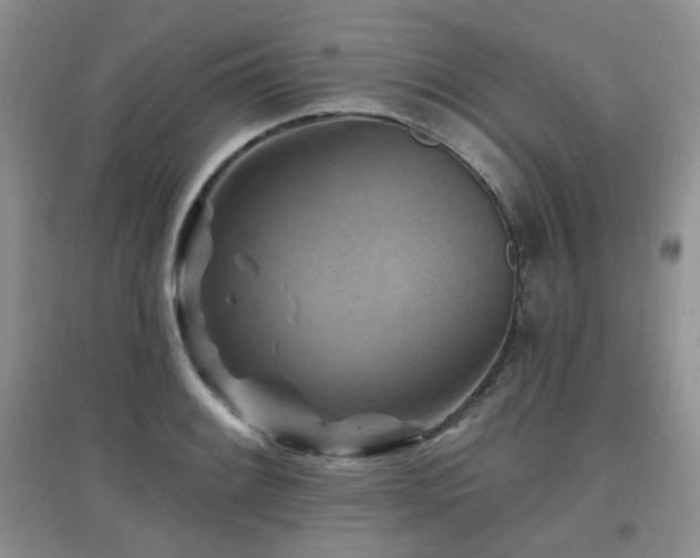 X0000097831084200803141140