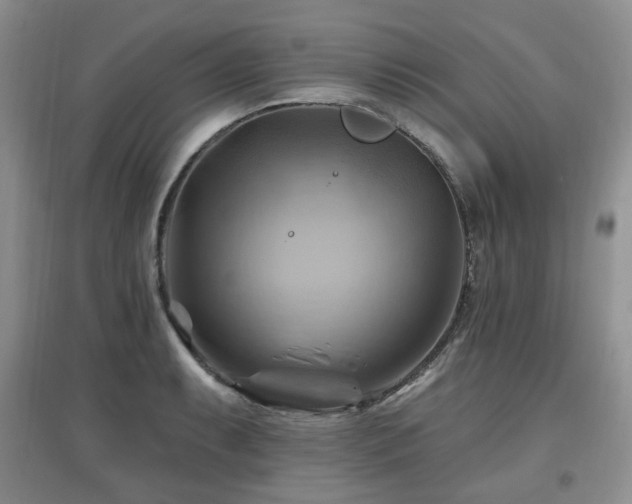 X0000097831087200803141140
