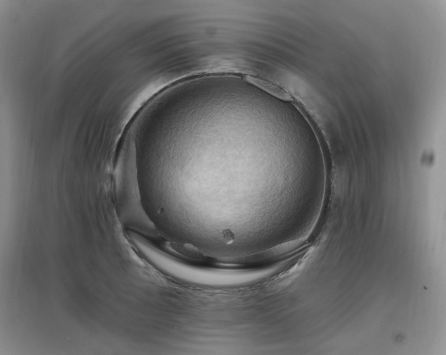 X0000097831089200803141140