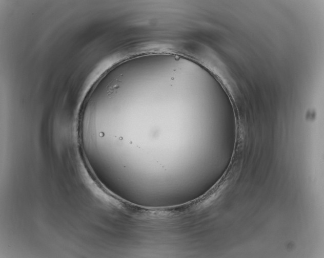 X0000097831090200803141140