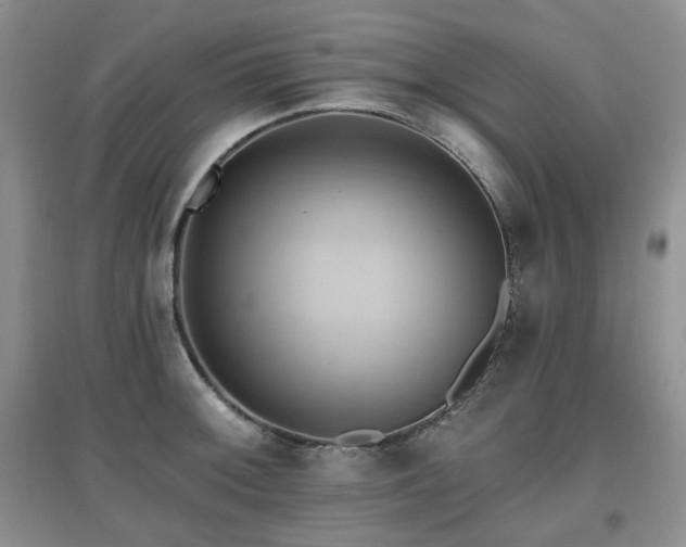 X0000097831092200803141140