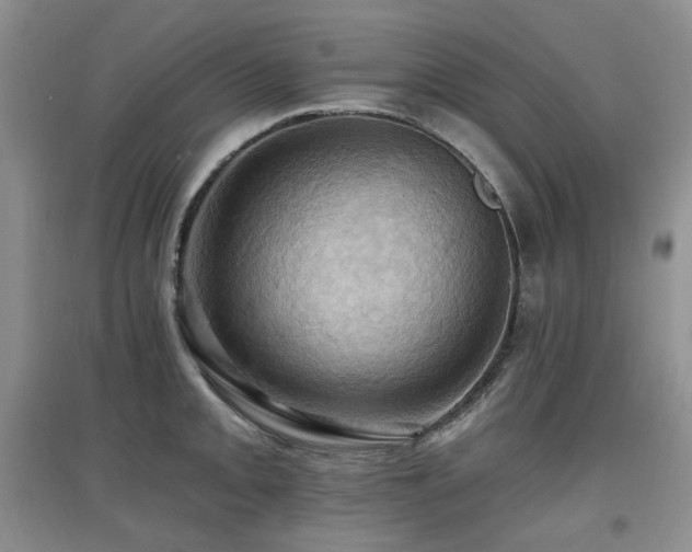 X0000097831093200803141140