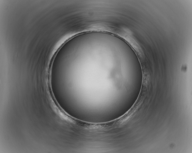 X0000097831094200803141140